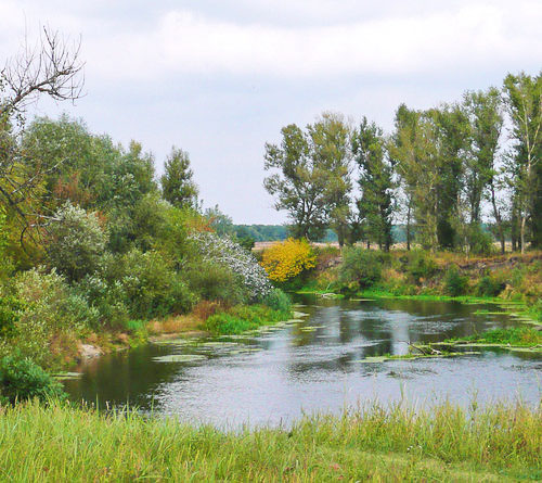 Кобеляцький район